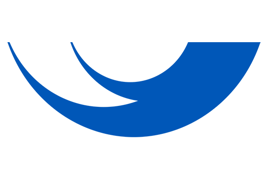 L'aile, élément graphic central
